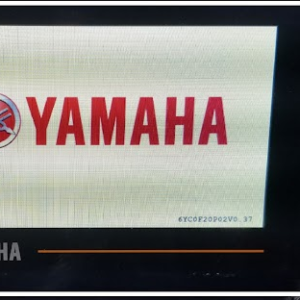 Yamaha 6YC Restoration Services